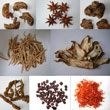 Traditional Chinese Herbal Medicine